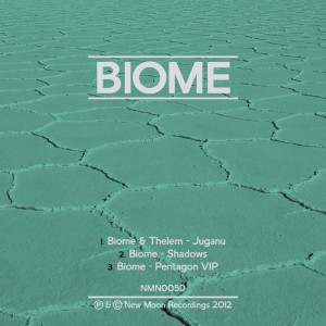 ดาวน์โหลดและฟังเพลง Juganu (Original Mix) พร้อมเนื้อเพลงจาก Biome