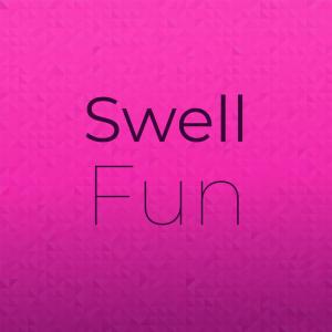 Album Swell Fun from Various