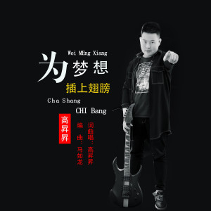 Album 为梦想插上翅膀 from 高升升