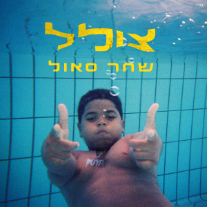 שחר סאול的专辑צולל