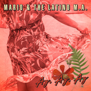 Album Ay, Ay, Ay (Album) from Mario