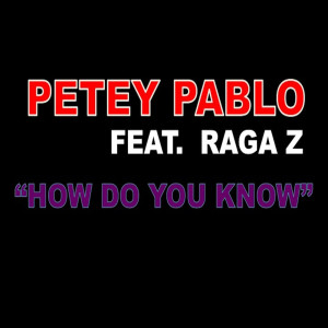 Album How Do You Know (feat. Raga Z) from Petey Pablo