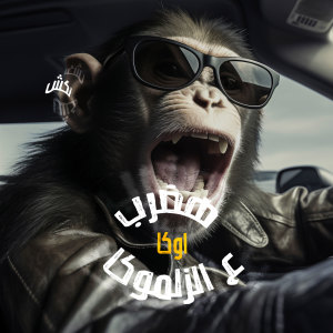 Album هضرب اوكا ع الزلموكا (Explicit) from Mostafa El Degwy