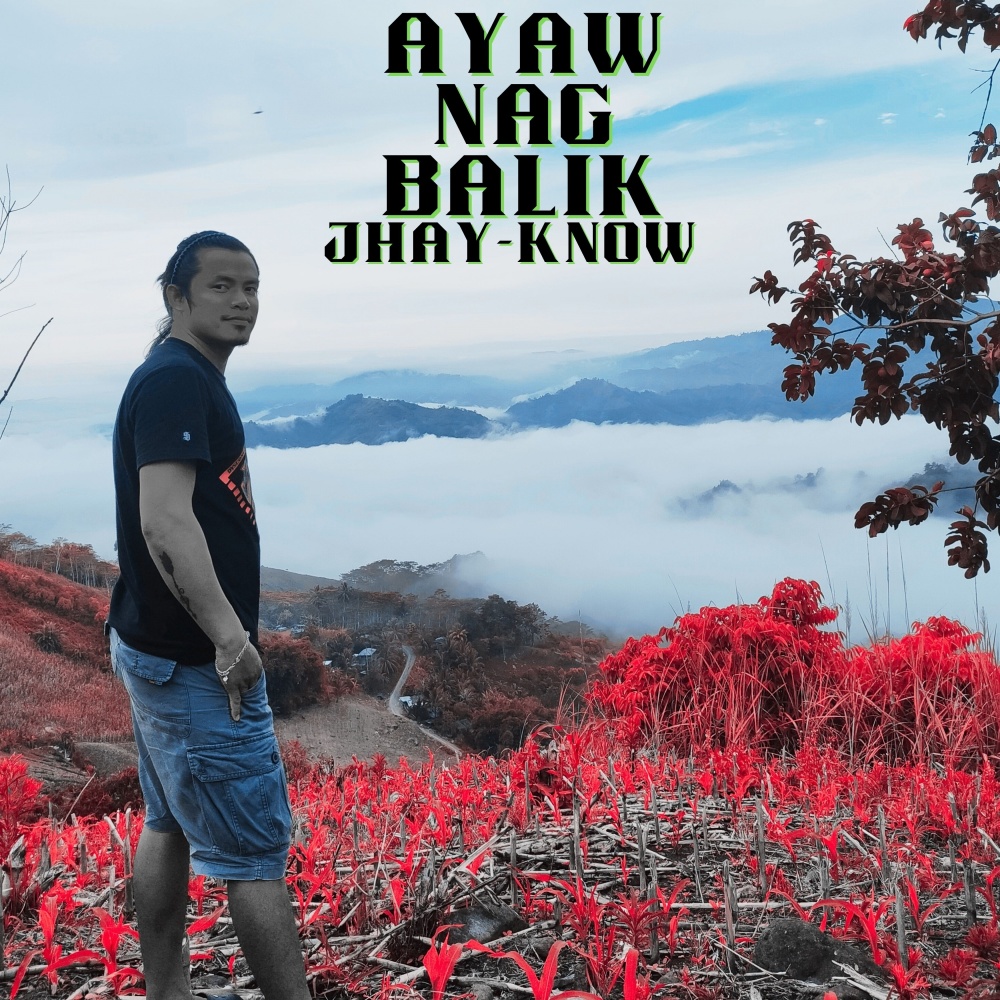 Ayaw Nag Balik