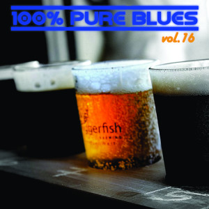 Album 100% Pure Blues, Vol. 16 from Various Artists