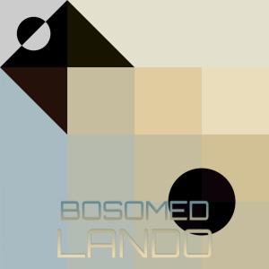 Various的专辑Bosomed Lando