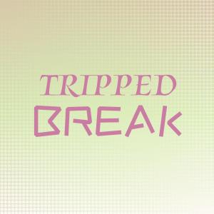 Listen to Tripped Break song with lyrics from Erton Luki