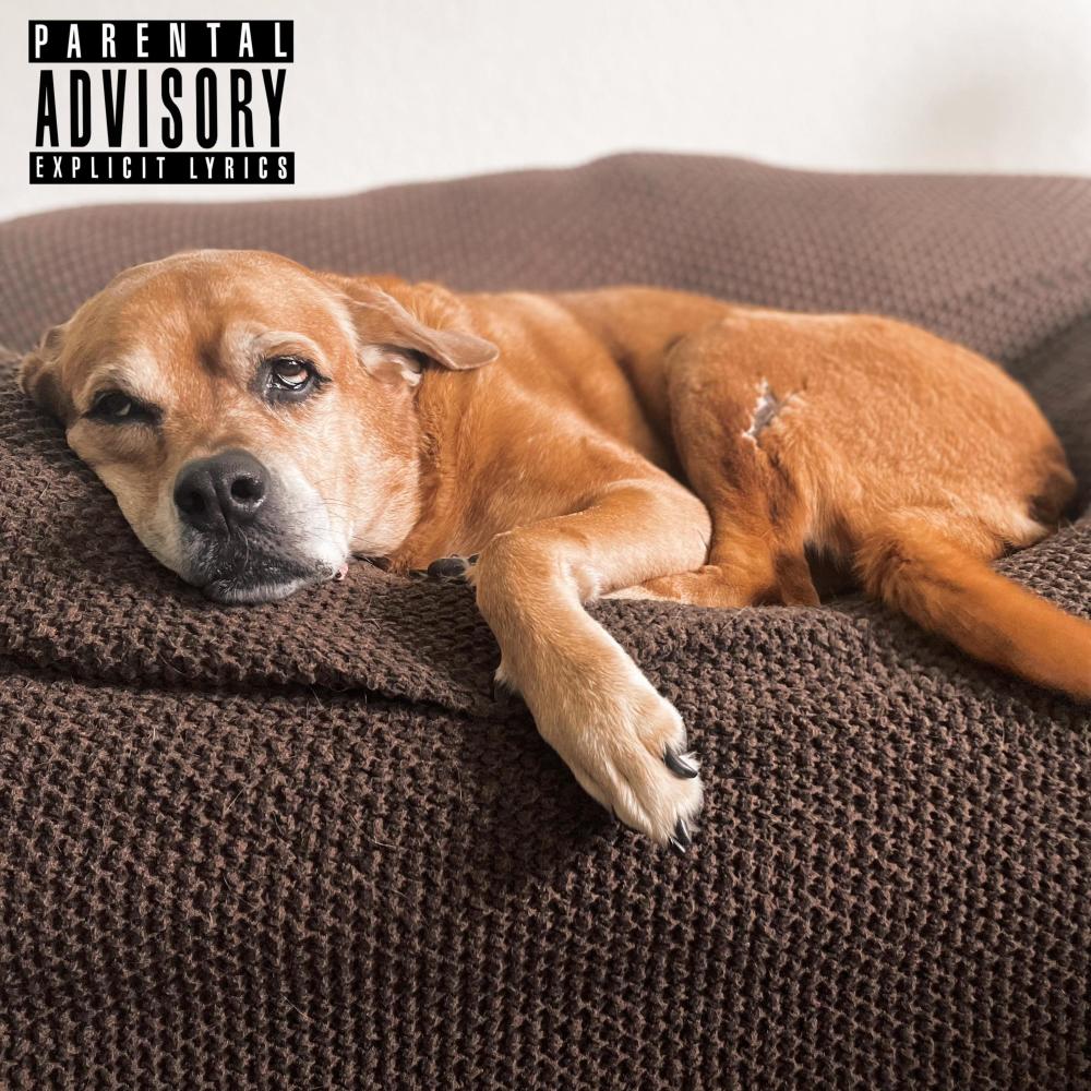 Maintain (Explicit)