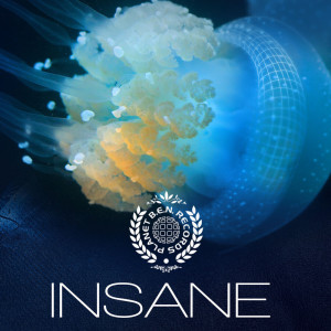 Dengarkan My Box lagu dari Audio-X dengan lirik