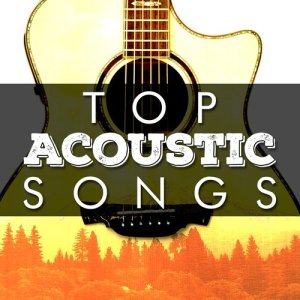 Various Artists的專輯Top Acoustic Songs