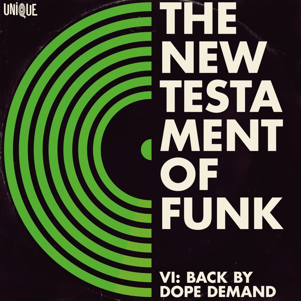 Chasing the Funk (The Allergies Remix)