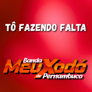 Banda Meu Xodó De Pernambuco的专辑Tô Fazendo Falta