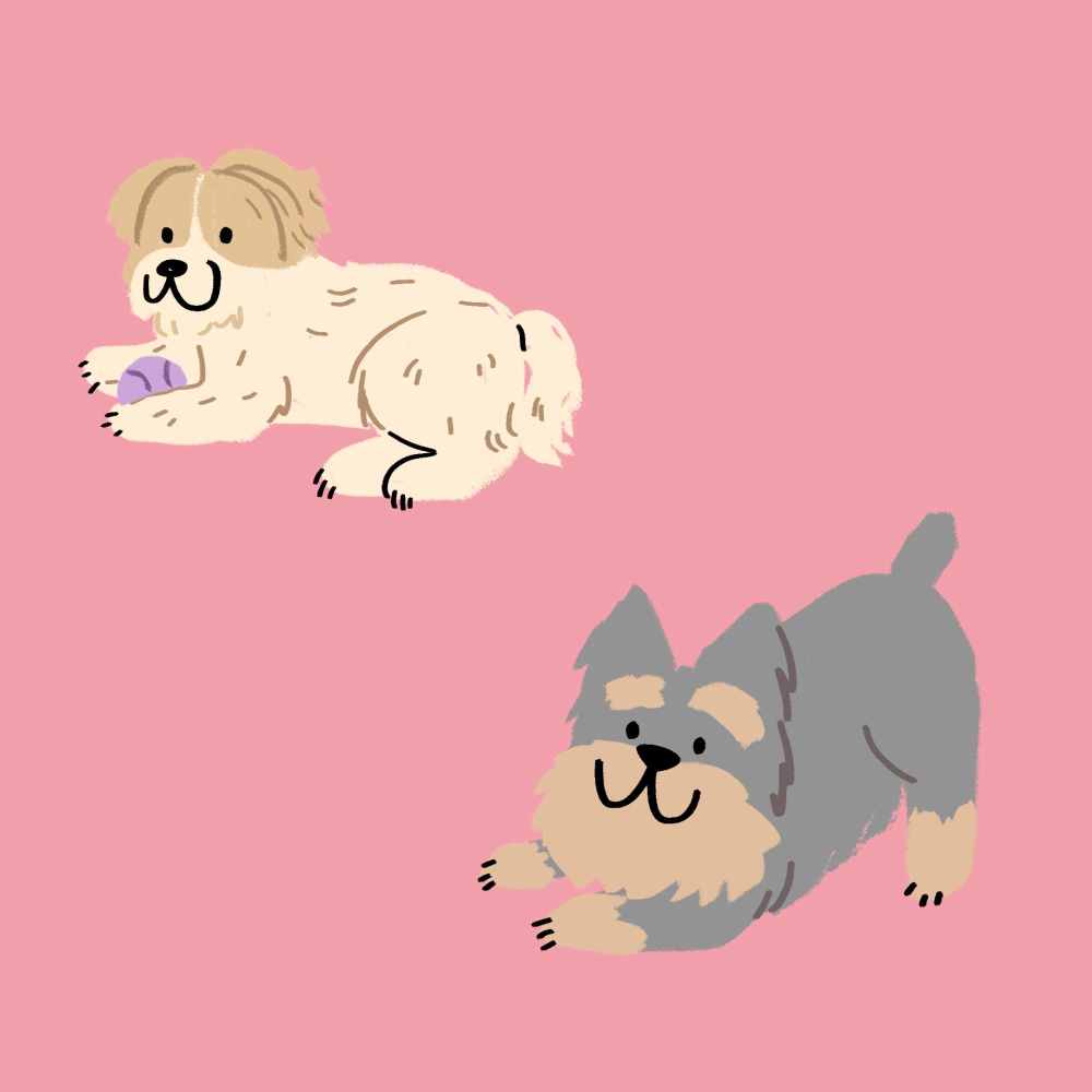 Happy Ambiance for Puppy Play Hour