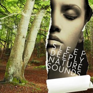 ดาวน์โหลดและฟังเพลง Tree Top Birds พร้อมเนื้อเพลงจาก Outside Broadcast Recordings