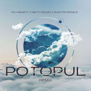 Album Potopul (Remix) oleh Electro Manele