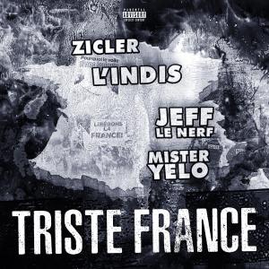 ดาวน์โหลดและฟังเพลง Triste France (feat. Jeff Le Nerf, Zicler & L'Indis) (Explicit) พร้อมเนื้อเพลงจาก Mister Yelo
