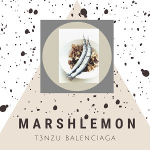 Dengarkan T3NZU Balenciaga lagu dari Marshlemon dengan lirik