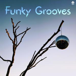 Album Funky Grooves from 
