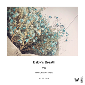 Album Baby's Breath from 