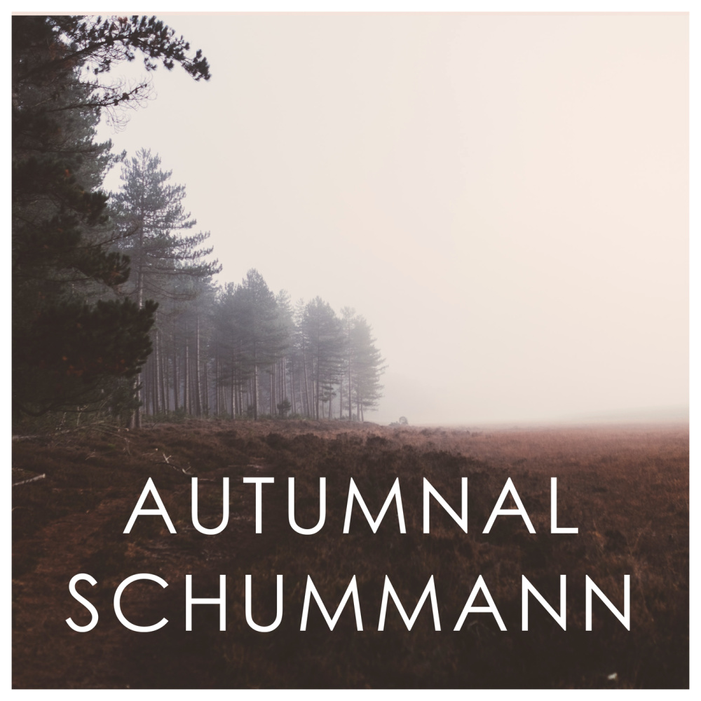 Schumann: Myrthen, Op.25 - Version For Cello And Piano - 24. Du bist wie eine Blume