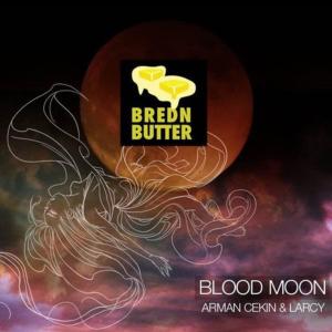 收聽Arman Cekin的Blood Moon歌詞歌曲