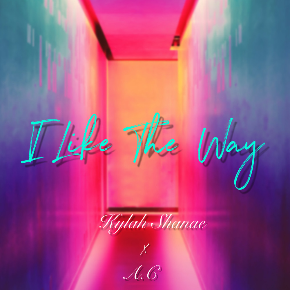 I Like the Way (Explicit)