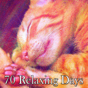 Listen to Dream Journal song with lyrics from Sleepy Sounds