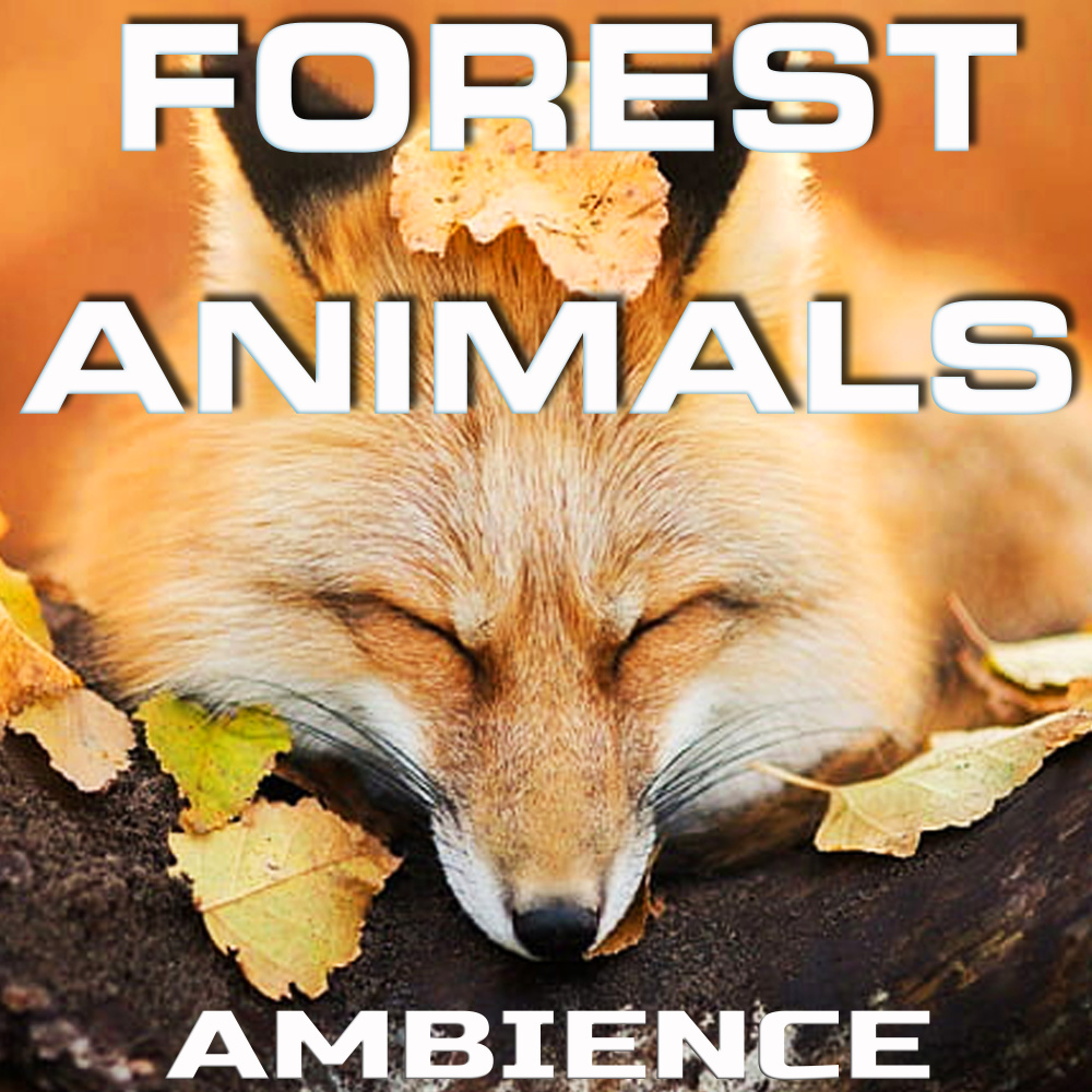 Soothing  Forest Animals Sounds