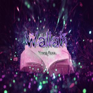 Listen to Wallah (Explicit) song with lyrics from Young Acea