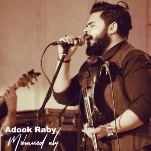 收聽Mohamed Aly的Adook Raby歌詞歌曲