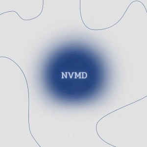 ดาวน์โหลดและฟังเพลง NVMD (Explicit) พร้อมเนื้อเพลงจาก KYUNGSEOK