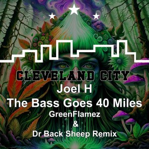 收聽Joel H的The Bass Goes 40 Miles (GreenFlamez & Dr Black Sheep Remix)歌詞歌曲