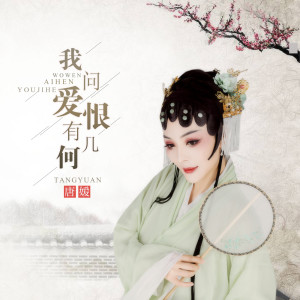 收聽唐媛的我問愛恨有幾何 (DJ何鵬版伴奏)歌詞歌曲