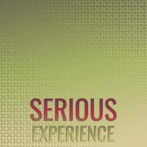 Album Serious Experience from Various Artists