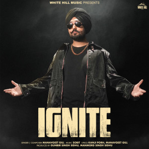 Listen to Delhi Project song with lyrics from Manavgeet Gill
