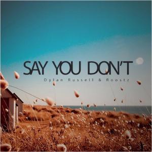 Album Say You Don't oleh Roostz