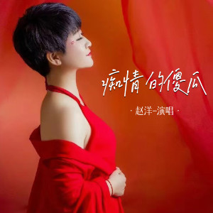 Album 痴情的傻瓜 from 赵洋