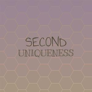 Various Artists的專輯Second Uniqueness