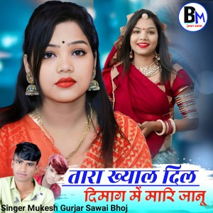 Listen to Tara Khayal Dil Dimag Mein Mari Janu song with lyrics from Mukesh Gurjar Sawaibhoj
