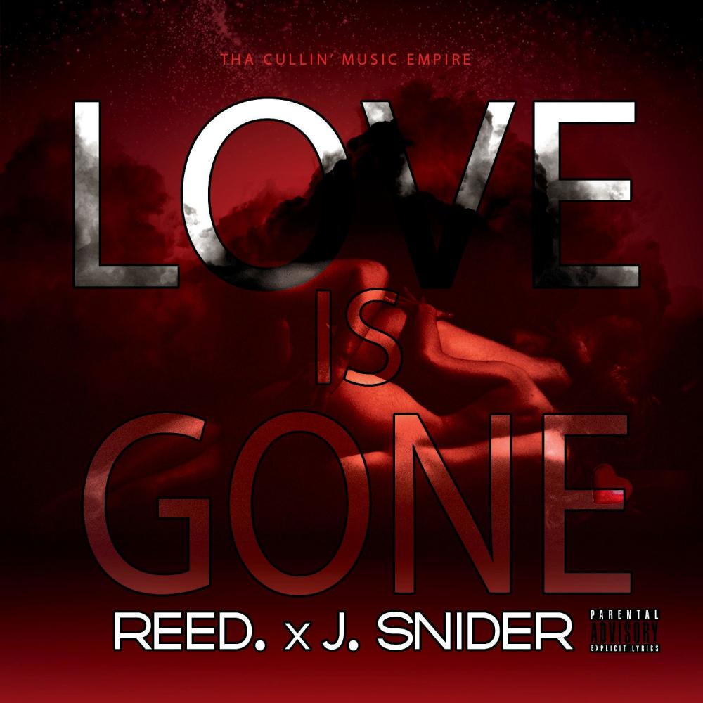 Love Is Gone (feat. J. Snider) (Explicit)
