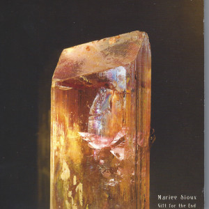 ดาวน์โหลดและฟังเพลง Swimming Through Stone พร้อมเนื้อเพลงจาก Mariee Sioux