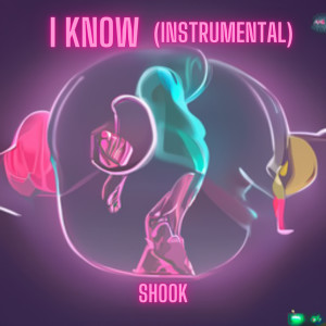 Listen to I Know (Instrumental) song with lyrics from Shook