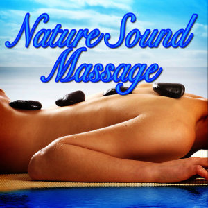 ดาวน์โหลดและฟังเพลง No More Sorrow - With Oceanside Ambience for Stress Release and Peace of Mind พร้อมเนื้อเพลงจาก Best Nature Sounds and Relaxing Music