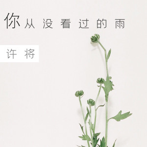 收聽許將的你從沒看過的雨歌詞歌曲
