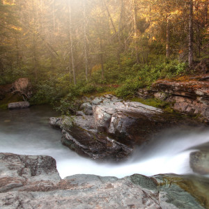 Listen to Rain in the Garden song with lyrics from Nature Sounds Nature Music