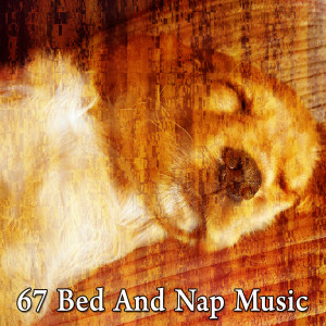 收聽Calming Sounds的Quick Naps歌詞歌曲