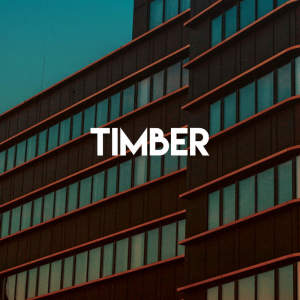 收听CDM Project的Timber (Explicit)歌词歌曲