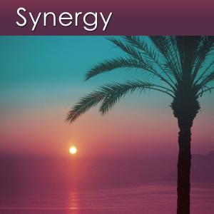 Listen to Synergy (Instrumental) song with lyrics from Dr. Harry Henshaw