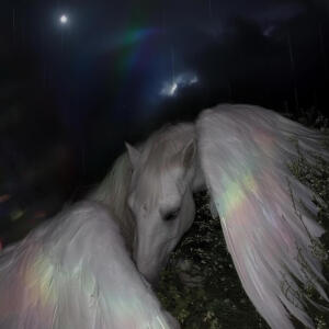 default playlist img