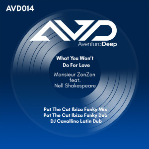 收听Monsieur ZonZon的What You Won't Do For Love (Pat The Cat Ibiza Funky Dub)歌词歌曲